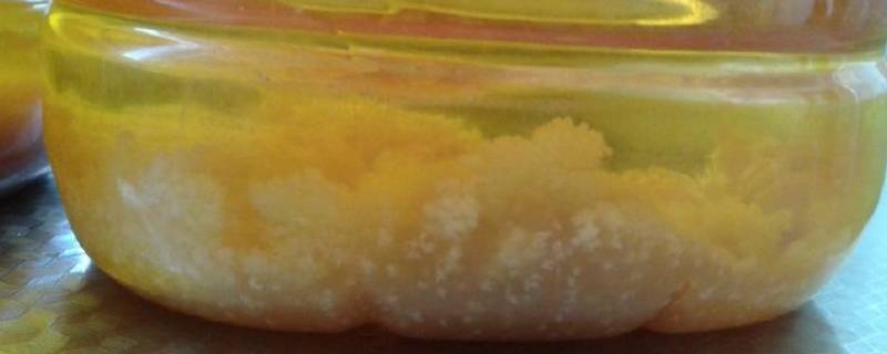 花生油底部的白色沉淀物是什么（花生油底部的白色沉淀物是什么原因）