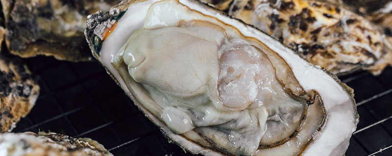 海蛎子保存时间多长（海蛎保存几天）