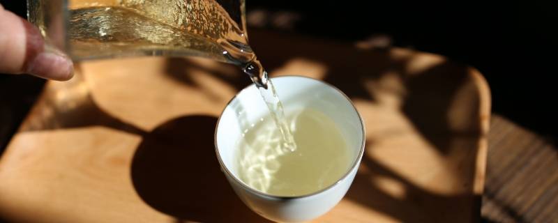 白茶如何冲泡 福鼎老白茶如何冲泡