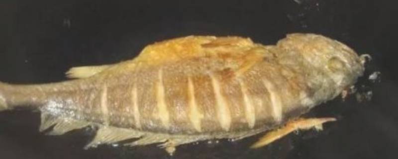 鱼不粘锅不破皮做法 鱼皮不粘锅的方法
