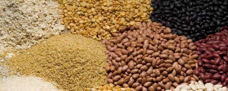 五谷类有哪些食物 五谷类有哪些食物图片