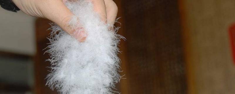 50绒是什么意思 50绒是什么意思?