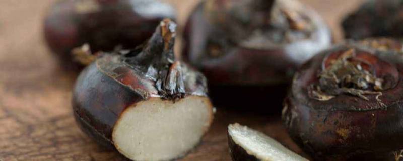 普吉是什么水果 普吉岛水果图片