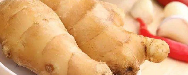 姜能放冰箱冷藏吗 姜可以放在冰箱冷藏箱里吗