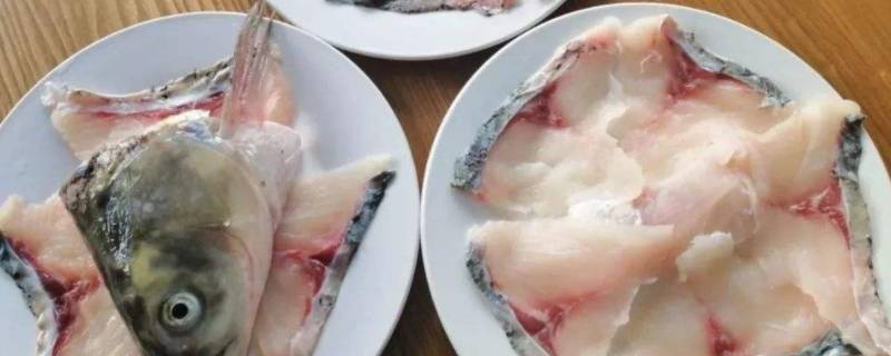 怎么片鱼（酸菜鱼怎么片鱼）