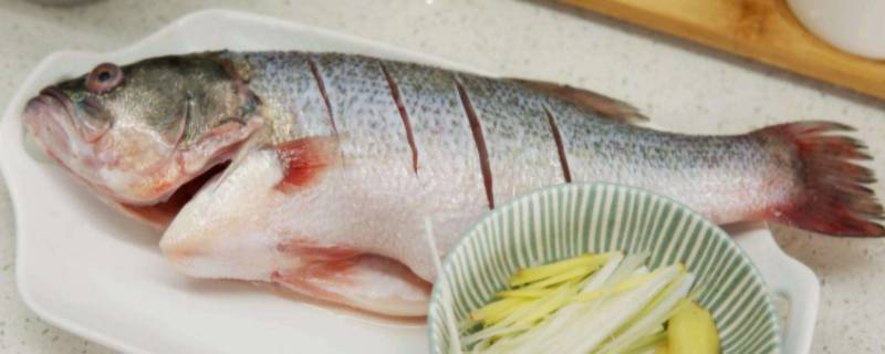 什么是白肉类（哪些肉类是白肉）