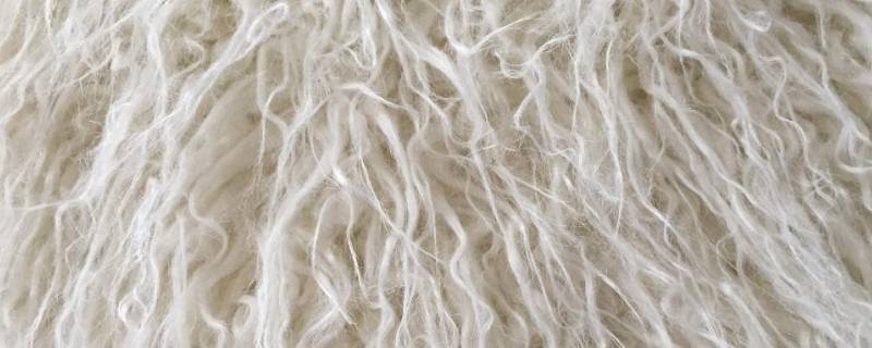 80羊毛和100羊毛的区别（100%羊毛和80%羊毛）