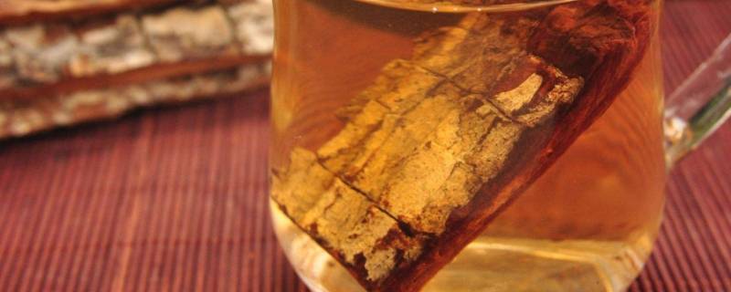 什么是卡宾达树皮 卡宾达树皮百度百科