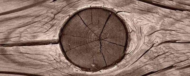 民间木头防开裂方法（防止木材开裂小窍门）