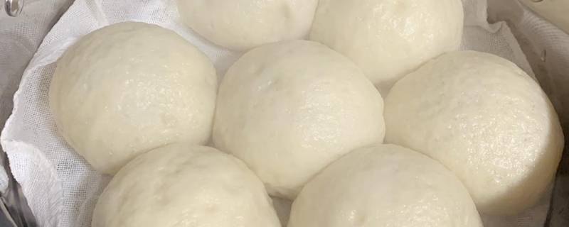 蒸豆包用什么豆（蒸豆包用什么豆子好吃）