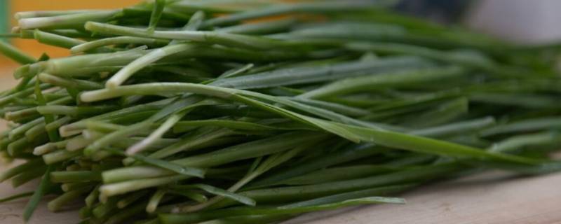 冬天有韭菜卖吗（现在这个季节有韭菜卖吗）