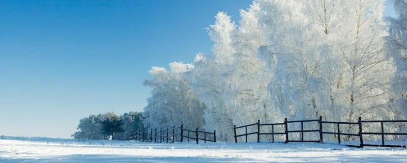 盐能化雪吗（盐能融化雪吗）