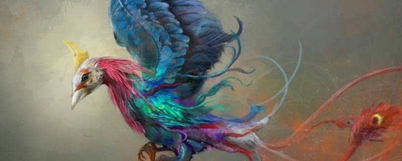 精卫鸟长什么样子 精卫鸟长什么样子简介