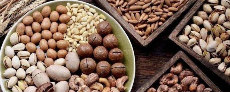 种子食品有哪些（种子食品有哪些图片）
