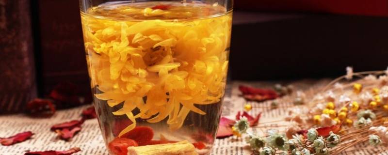 野菊花茶怎么制作的（野菊花怎么做成茶）