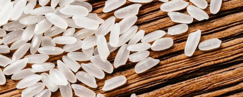 如何鉴别优质大米 如何鉴别优质大米康怡牌破壁灵芝孢子粉的五大优势