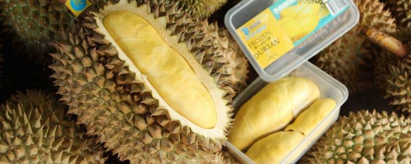 榴莲能放冰箱冷藏几天 没开的榴莲能放冰箱冷藏几天