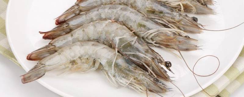 海白虾煮多久 海白虾煮多久能熟