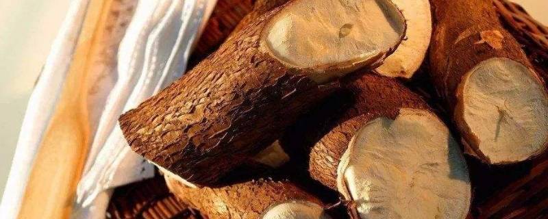 厌过刮木薯什么意思 广东人说厌过刮木薯什么意思