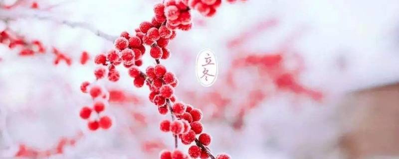 立冬冷冬天冷不冷（立冬天气冷不冷）