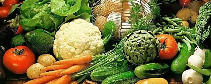 营养食品都有哪些（营养食品都有哪些金字塔）
