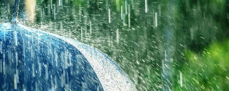 被雨淋过的头发要洗吗（淋雨了头发要洗吗）