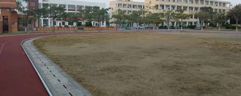 古雷第一中学算是漳浦县的吗（漳浦县古雷中心学校）