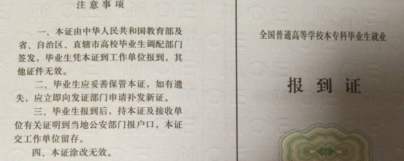 呼伦贝尔市海拉尔区人力资源和社会保障局可以取档案里面的报到证么