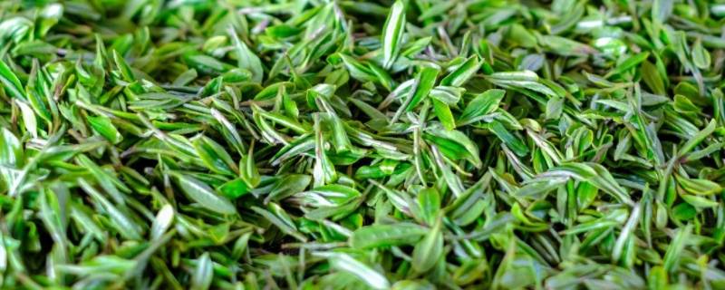 春末试新茶什么意思（且将新火试新茶）