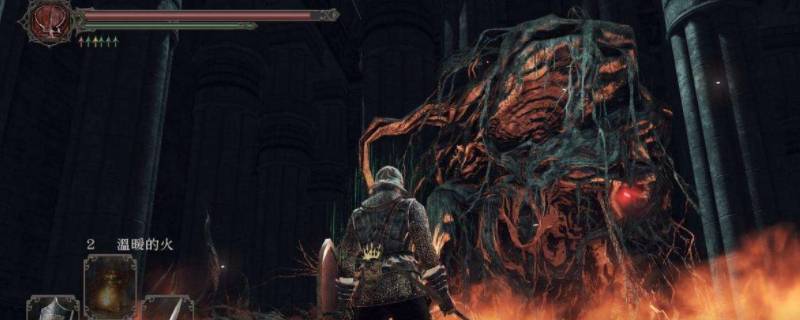 黑暗之魂2腐烂物弱什么（黑暗之魂2怪物弱点）