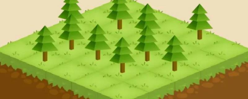 forest怎么加好友（forest加好友没法加）