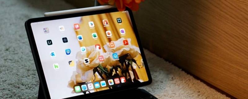 ipad充不进电怎么回事显示充电（ipad充不进电怎么回事显示充电标志 但是充不进去）