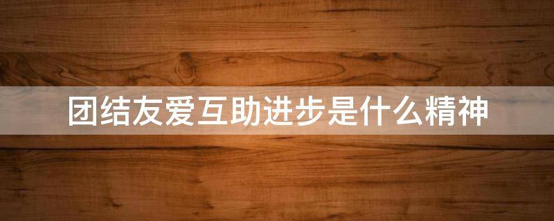 团结友爱互助进步是什么精神（团结友爱,共同进步）