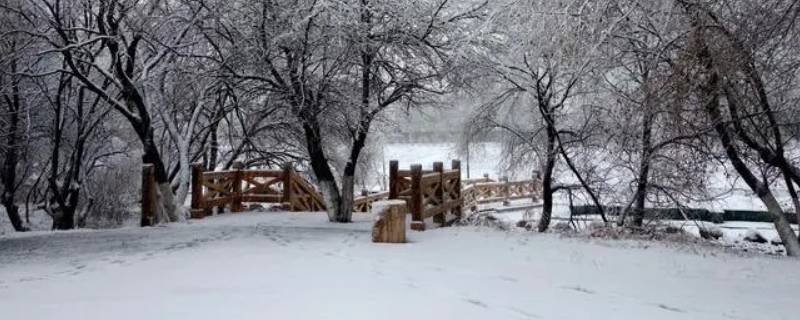 降雪量10mm是多厚（10mm降雪量相当于多少厘米厚）