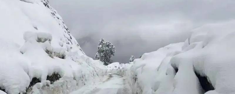 下雪后高速公路上都会除雪吗 高速公路下雪会清理吗