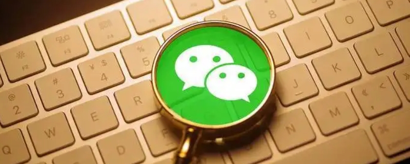 微信能加多少好友上限（微信能加多少好友上限人数）