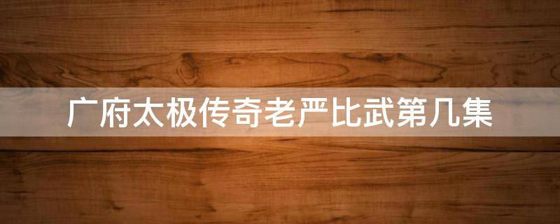 广府太极传奇老严比武第几集（广府太极传奇分集剧情）
