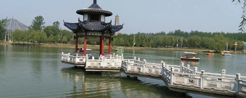 阜阳职业技术学院距生态园有几公里（阜阳职业学院占地面积）