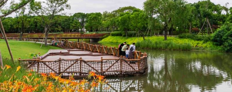 从沪宜公路去外冈雅苑怎么走