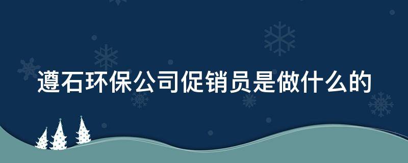 遵石环保公司促销员是做什么的