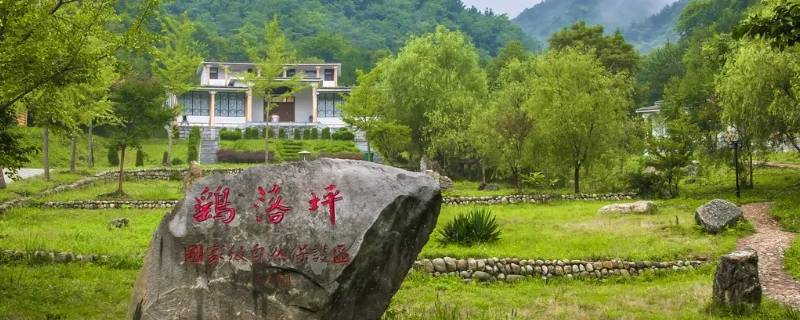 鹞落坪农家乐可有游泳的地方（鹞落坪避暑农家乐）