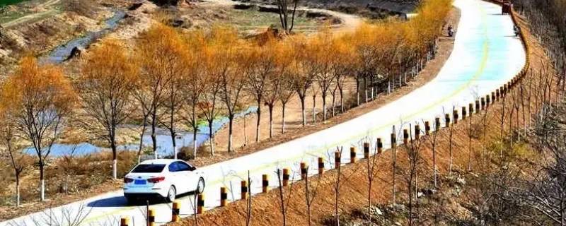 温县青峰岭一带是指哪个地方 温县青峰岭地区