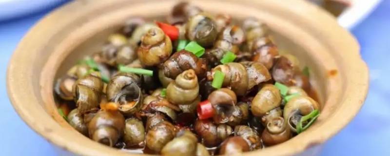 回家吃饭饭小二吃什么江螺蛳