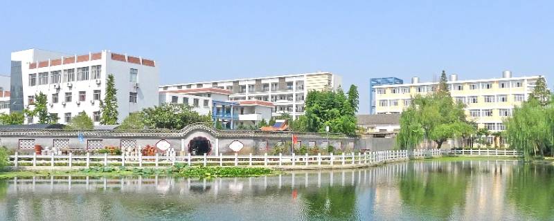 2021伍佑中学高考升学率 伍佑中学2021高考成绩怎么样