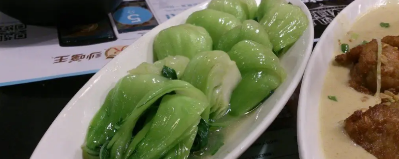 香港菜里一根大青菜是什么菜 香港菜里一根大青菜是什么菜图片