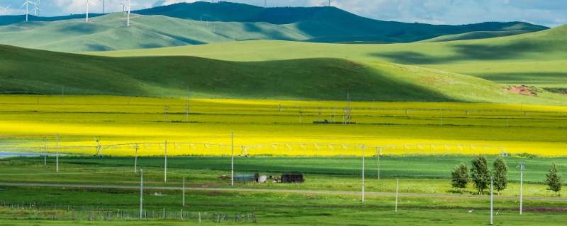 内蒙古化学会考多少分（内蒙古化学会考多少分过）