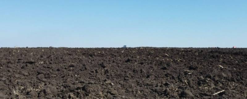 租田五年地租怎么算 田地租率怎么算