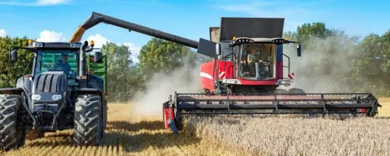 收割机像什么动物（收割机是什么样子）