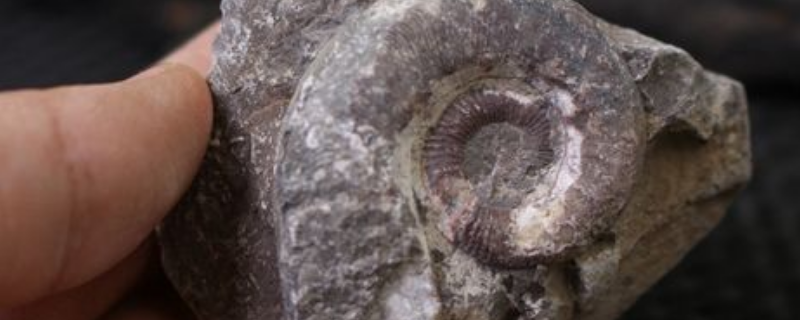 新疆柯坪县产什么宝石