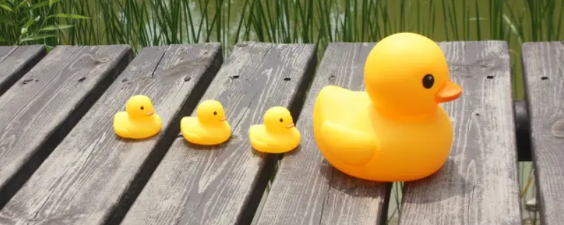 橡皮鸭是弹性材料吗（橡皮鸭是弹性材料吗）